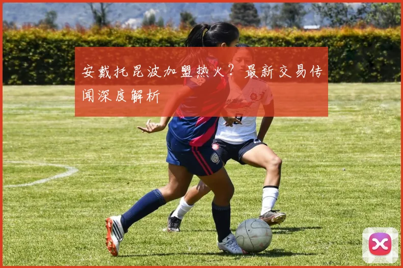 安戴托昆波加盟热火？最新交易传闻深度解析